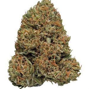 Kaufen Sie Super Sour Skunk