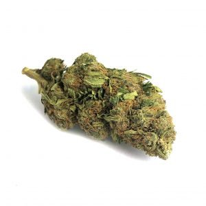 Osta Lemon Skunk