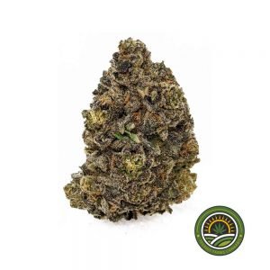 Acheter de la marijuana Mother of Dragons