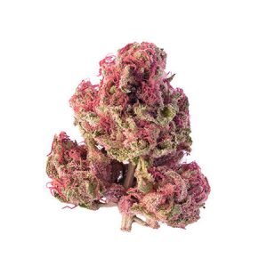 Acheter Pink Kush
