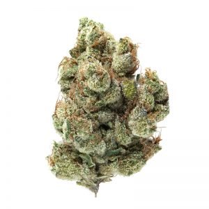 Kupite Triple G Strain