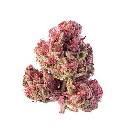 Acquista Pink Kush