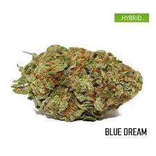 Pērciet Blue Dream Strain