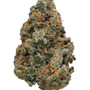 Nopirkt Cookies Gelato
