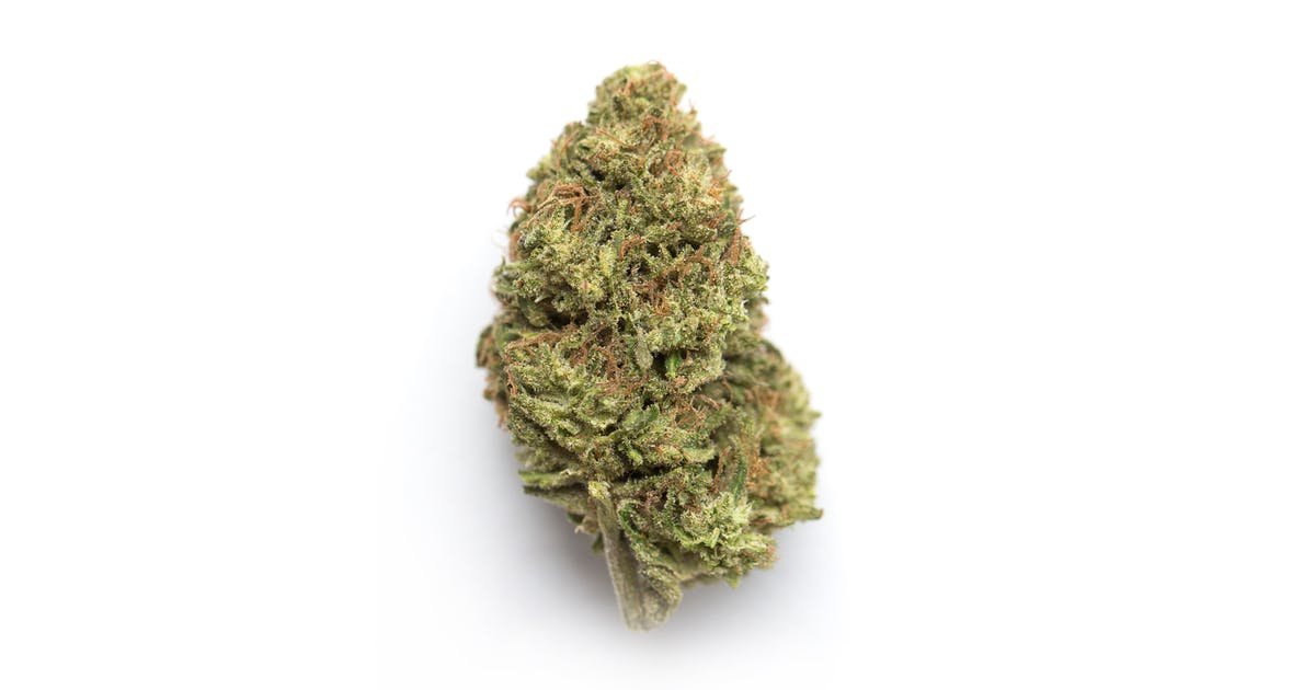 Pērciet Rocky Mountain Blueberry