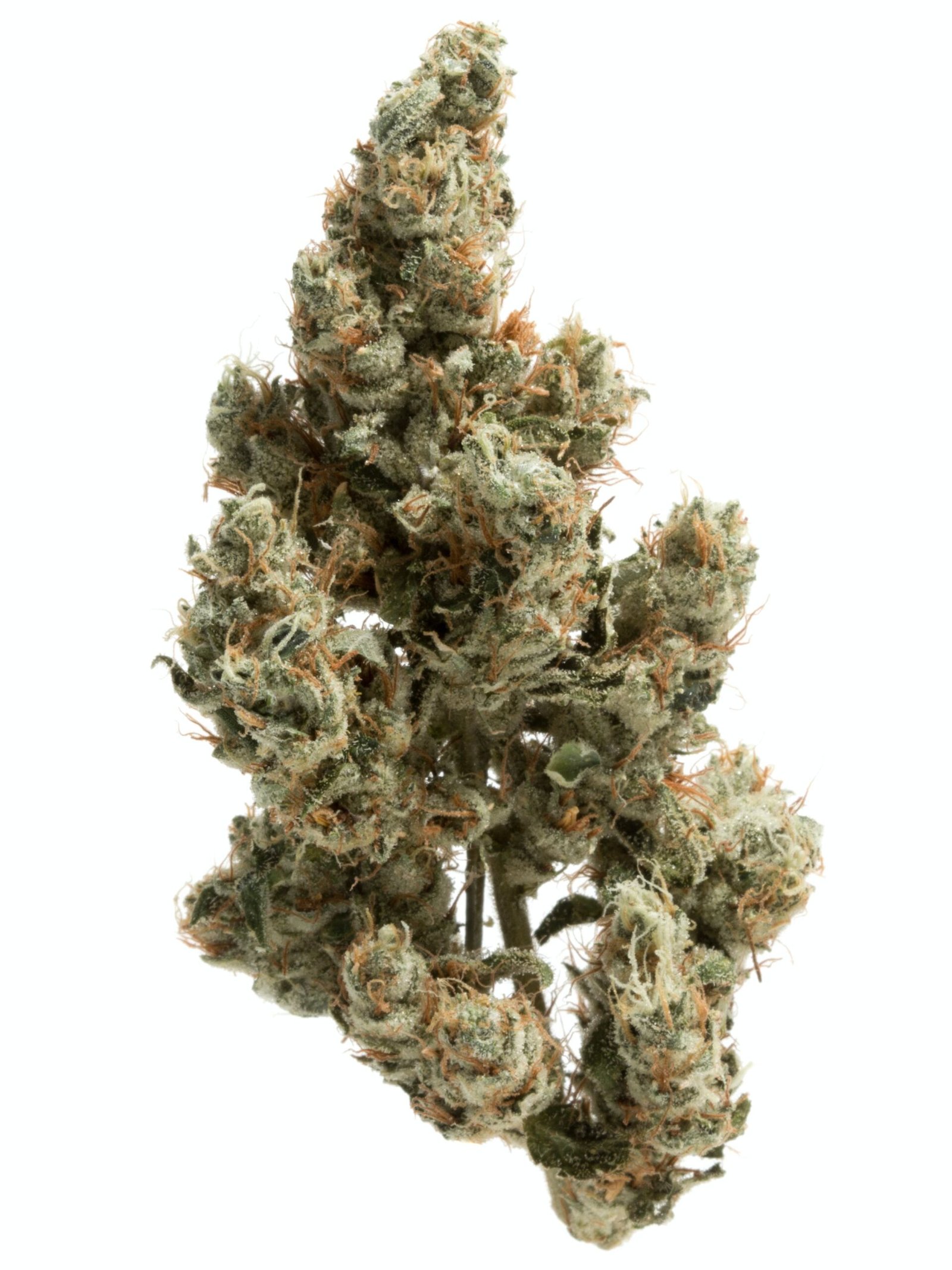 Pērciet Super Sour Diesel