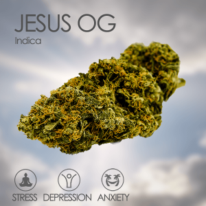 Pērciet Jesus OG Weed