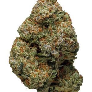 Kjøp Chocolate Fondue Strain