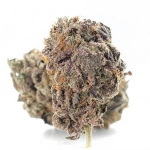 Compre maconha Purple Dragon (AAAAA)