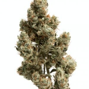 Compre Diesel Super Sour